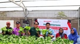PT Sharp Electronics Indonesia meluncurkan Sharp Hydro Heroes, program pemberdayaan masyarakat berbasis pertanian urban di Bekasi Utara, Kota Bekasi.(Foto: Istimewa)
